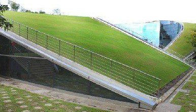 Photo of Why Green Roofs just trend?
