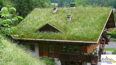 Photo of Different types of green roofs