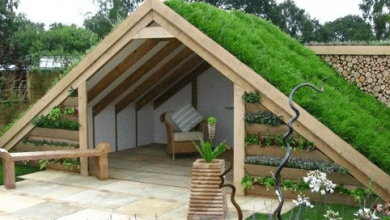 Photo of Pros and Cons of Green Roofs