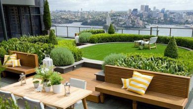 Photo of What is a Green Roof?