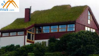 Photo of Benefits of Green Roofs