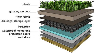 Photo of Green Roof Layers