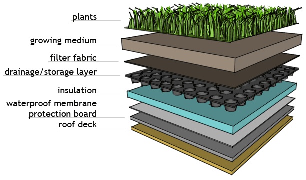 green roof layers